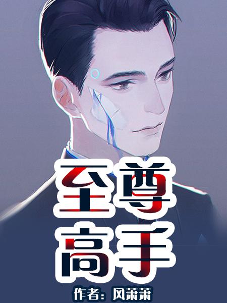 至尊高手陈浩