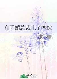 与总裁闪婚原来老公是boss