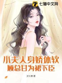 小夫人是什么意思