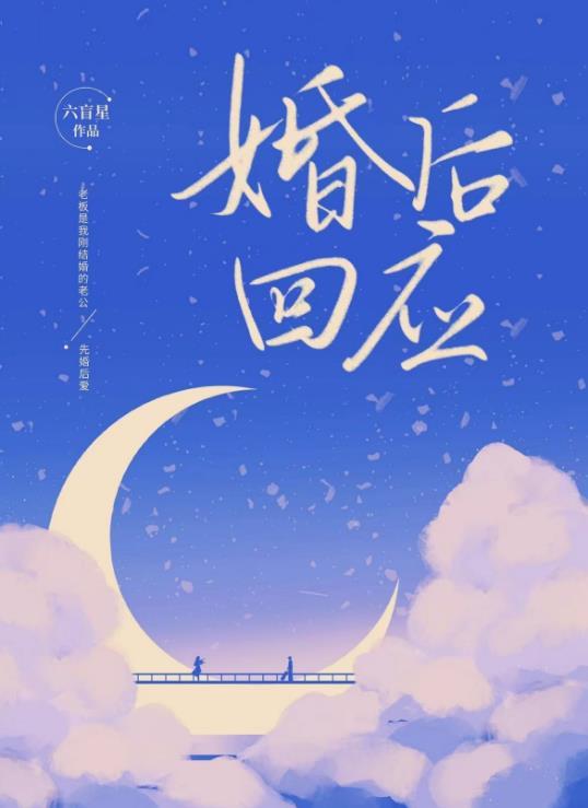 婚后回应六盲星txt