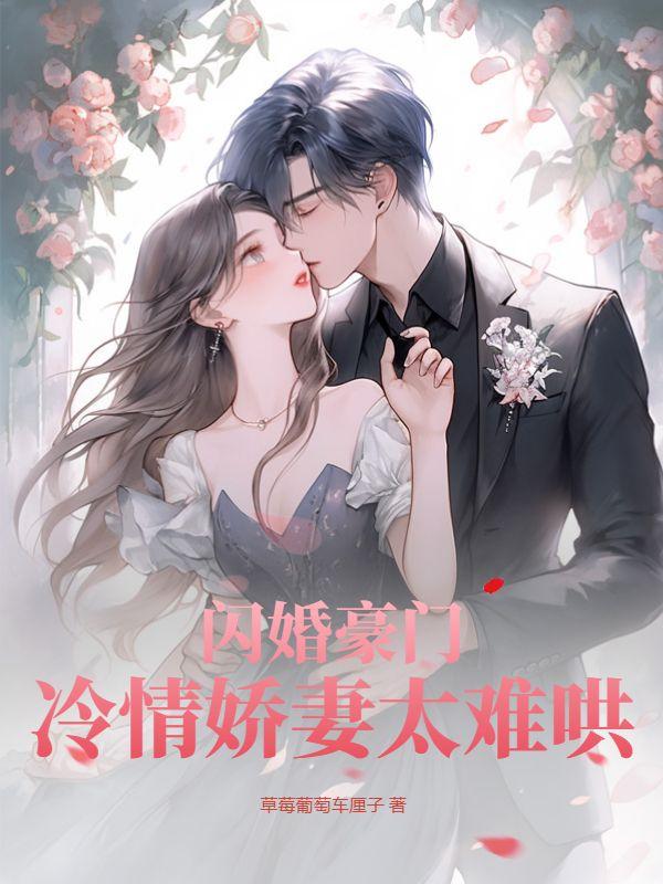 闪婚难离冷少独宠妻