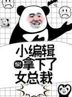 王文陆薇怎么不更新了呢