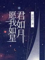 愿我如星君如月夜夜流光相皎洁