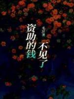 王芳芳张公子