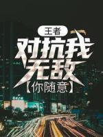 主角叫林羽字的都市