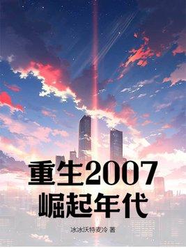 重生之崛起2008