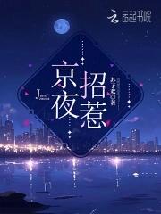 京夜招惹免费阅读