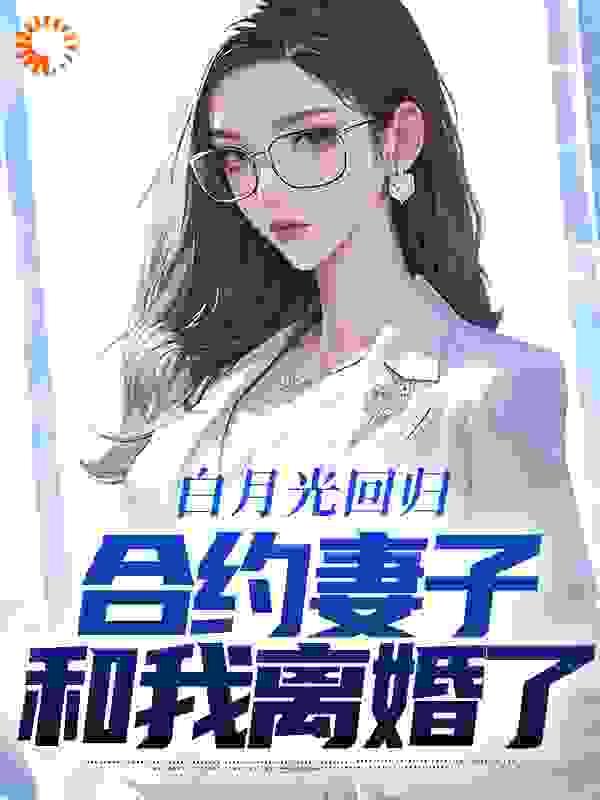 合约妻子和我离婚了林默