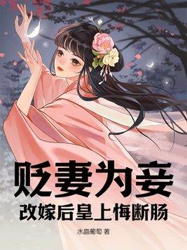 改嫁后皇上悔断肠 第250章