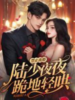 乔泽什么