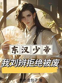 三国少帝刘辩同人文