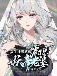 关于双生武魂的