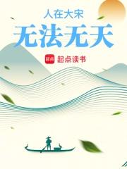 人在大宋无法无天免费阅读txt