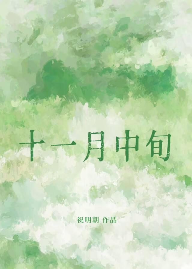 十一月中旬至扶风界见梅花翻译