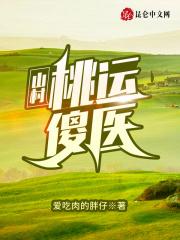 山村桃运小医圣周