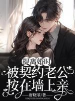 言晚霍黎辰全文免费阅读简介