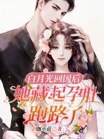 苏又灵厉霆西著