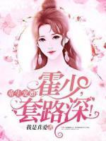 宋辞霍慕沉大结局