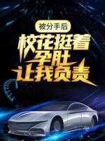 叶辰刘伊娜三胞胎奶爸系统