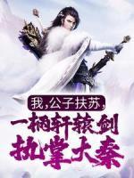 扶苏嬴政cp年下