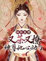 江吟时泽免费阅读