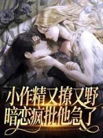 抖音谢景行沈妙沈鸾名字