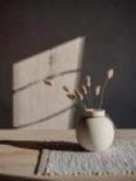 白素素作品