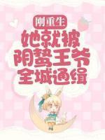 苏轻盈君璃夜第二季叫什么