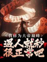 李如风苏梦儿大帝巅峰遇人