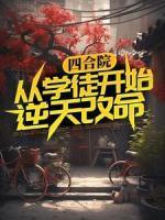 何雨柱何大清分家