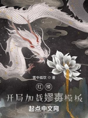 红楼开局加载嫪毐模板笔趣阁