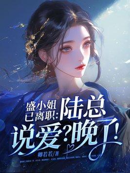 什么的女主叫盛小姐